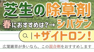 【芝生】春の雑草が生えにくくなる！！予防できる除草剤