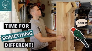Building a Parrot Nesting Box // Something a Bit Unusual