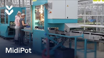 High capacity Transplanting Line - Kwekerij Baas