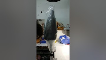 Lamination of an above knee prosthetic carbon socket.