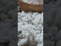 Indian currency kaise Banta hai | paisa kaise Banta hai dikhaiye | note kaise banaya jata hai #india