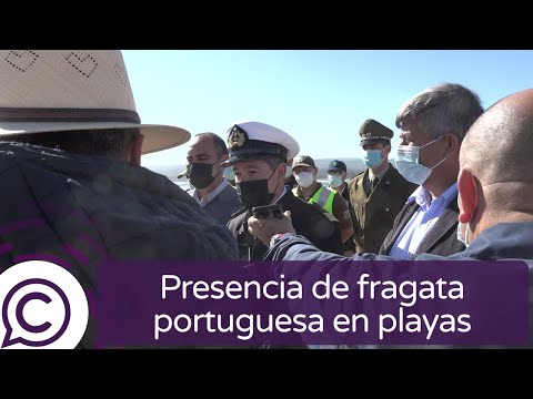 Limpian playas de Pichilemu por presencia de fragata portuguesa