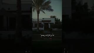 مررت بدارهم شوقاً لعلي المح الحباب فيها#viral #freefire