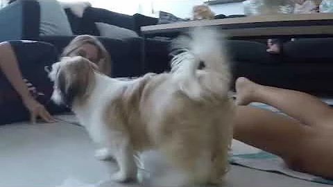 First Hours With Bisou