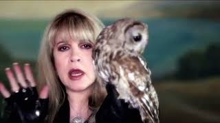 Stevie Nicks - Moonlight (Strings & Guitar Mix)