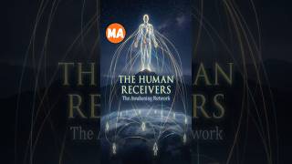 The Mandela Effect: The Human Receivers