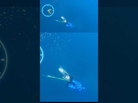 كيفاش تختار بذلة الغوص بحر صيد  سمك