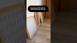 To fill these empty frames!! #PaperArtAdventure #PaperStory #CatLoversCraft #artwork