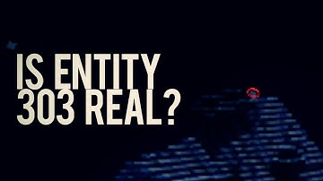 The Entity 303 Documentary [Second Encounter]