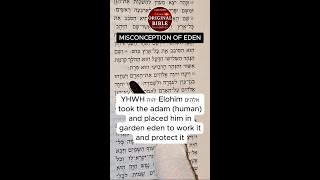 39 eden.mp4