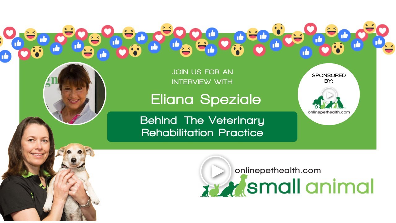 Behind the Vet Rehab Practice, with Eliana Speziale