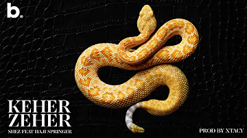 Keher Zeher - SHEZ ft. Haji Springer | XTACY | Official Video | Desi Hip-hop song 2020