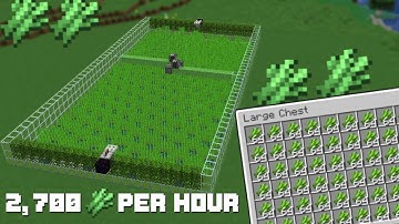 Minecraft Automatic SUGARCANE Farm 1.21+ | 2,700+ Per Hour!