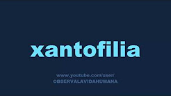 x Spanish words that start with the letter x x Spanish words that start with the letter x