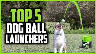 ✅ Top 5 Best Dog Ball Launchers in 2024