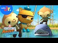 Alligator-Shark Showdown / Quest for Cocoa 🐊🦈 Octonauts: Above & Beyond FULL EPISODE