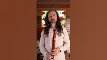 Son of drum - High Spirits Condor Bass D - Aromatic Cedar