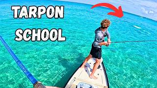 Sight-casting a Surprise School of Clearwater Tarpon!