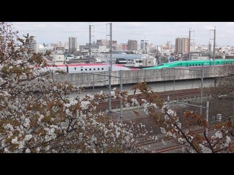 14年4月 東北 上越新幹線と桜 東京 王子 飛鳥山公園 Youtube