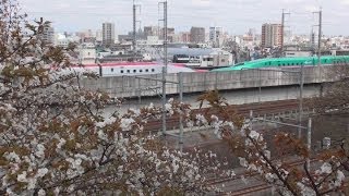 14年4月 東北 上越新幹線と桜 東京 王子 飛鳥山公園 Youtube