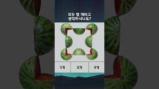 뇌를 깨우는 수박 테스트