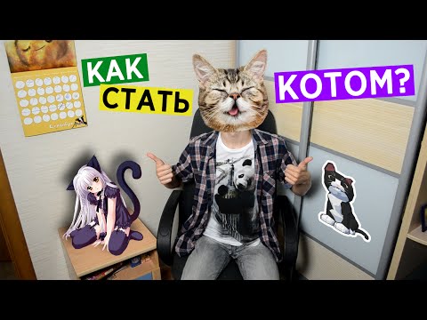 Как Стать Котом?