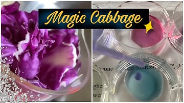 CABBAGE JUICE COLOR CHANGER | Change the Color of Liquids with Red Cabbage Juice