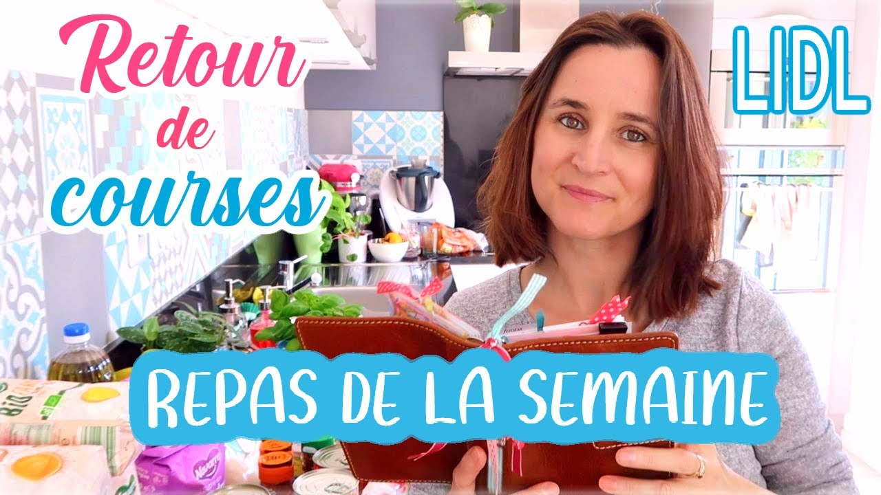 RETOUR DE COURSES LIDL ET IDEES REPAS (novembre) | Little Béné