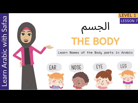 Body Parts in Arabic - Level 1: Ln 7 - Part 1 (New Words) - Learn with Safaa