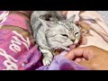 こういうことするのもあいちゃんだけなんだよなあ