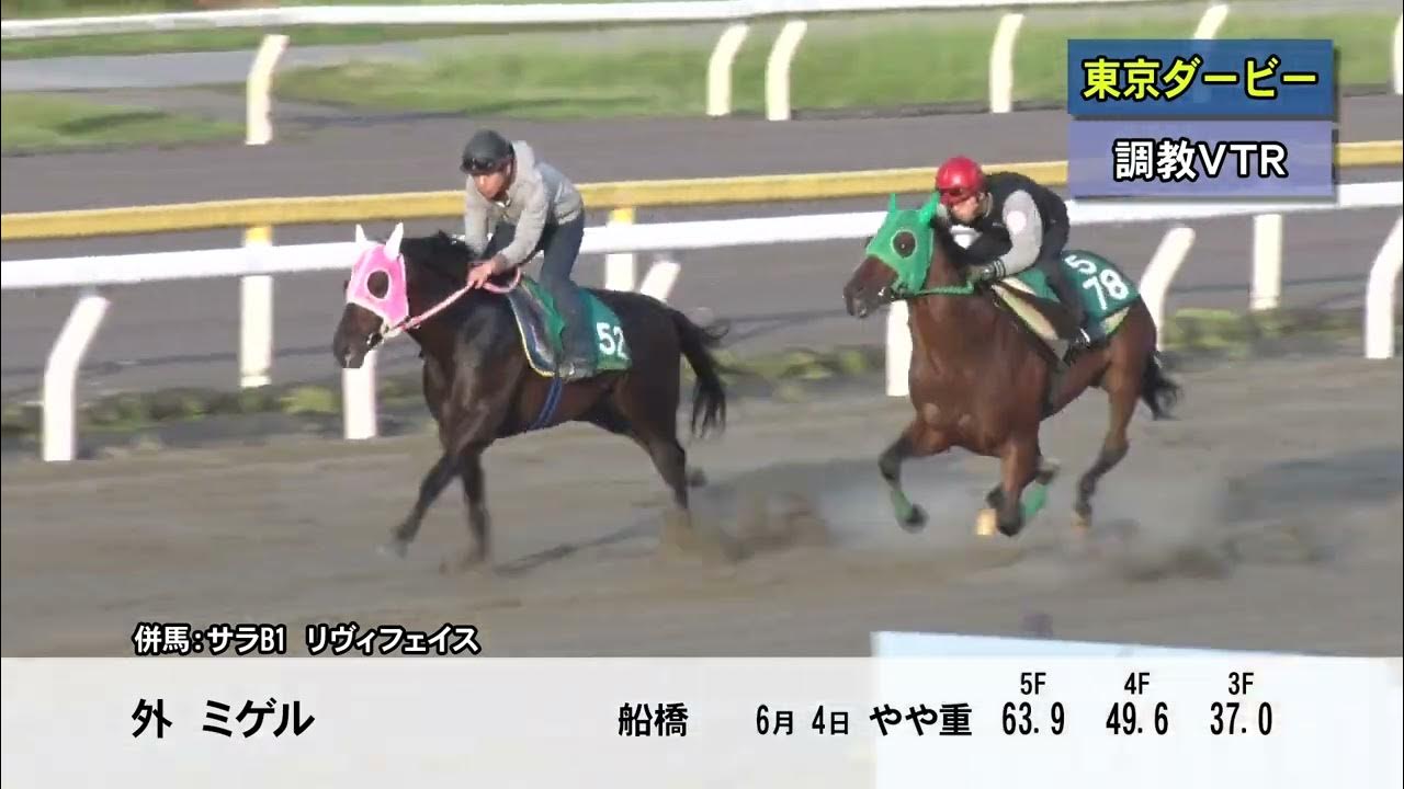 第68回 東京ダービー Si の調教追い切り動画 Youtube