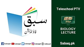 Biology Class 9 Bioenergetics ,Teleschool | Sabaq.pk |