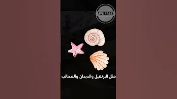 لماذا يتم استعمال اللون الأحمر اكسبلور ترند 