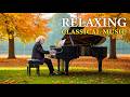 Classical music connects the heart and soul. Mozart, Beethoven, Bach, Chopin, Rossini Album 2026 #46