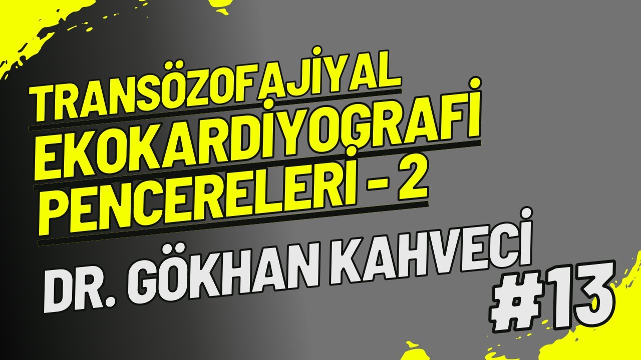 2D Standart Transözofajiyal Ekokardiyografi Pencereleri - 2