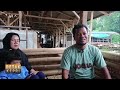MENGUMPUL MODAL DARI CILOK,  UJUNG SUKSES SANG PETERNAK