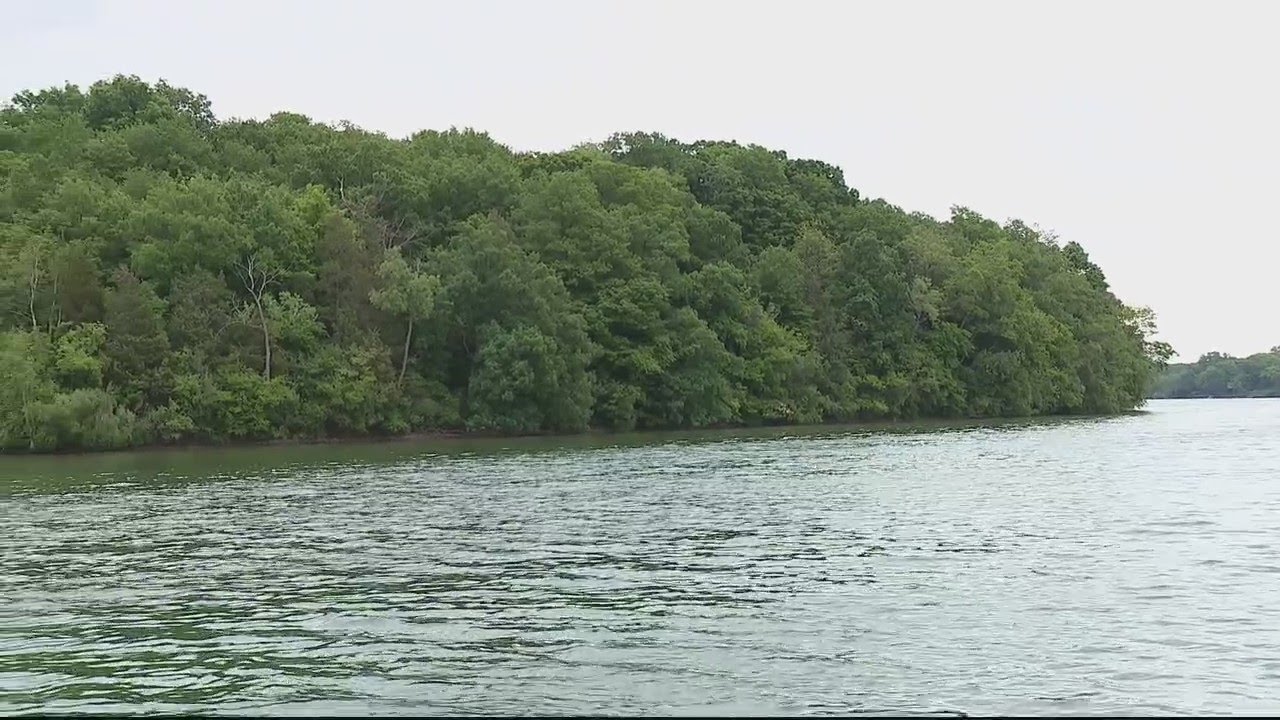 Take a tour of uninhabited Apple Island in Michigan YouTube