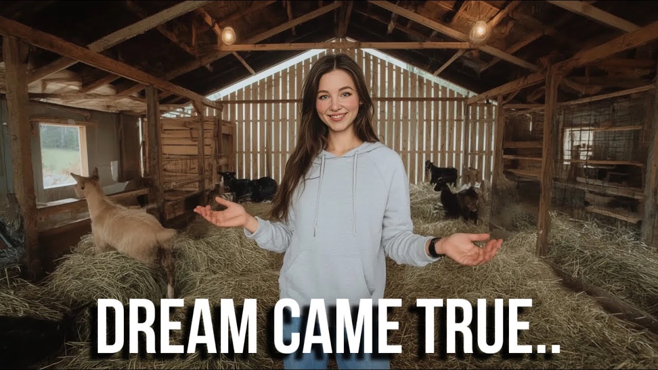 Dream Barn is COMPLETE in SIBERIA!🏡+ City Grocery Trip(Prices will Surprise You)🇷🇺