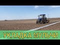 3 действия при укладке мульчи для дыни