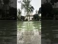 A Moment of Calm in the Courtyard of Golestan Palace! #shorts