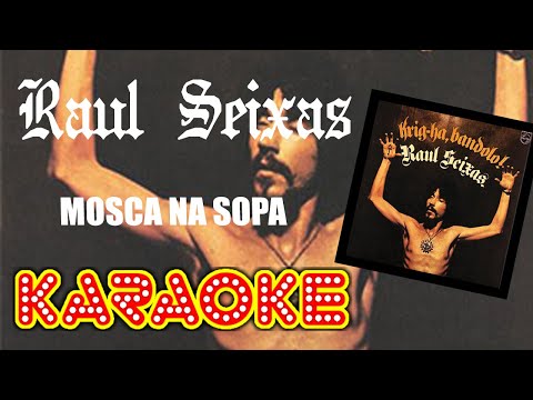 Raul Seixas - Mosca na Sopa - Karaoke