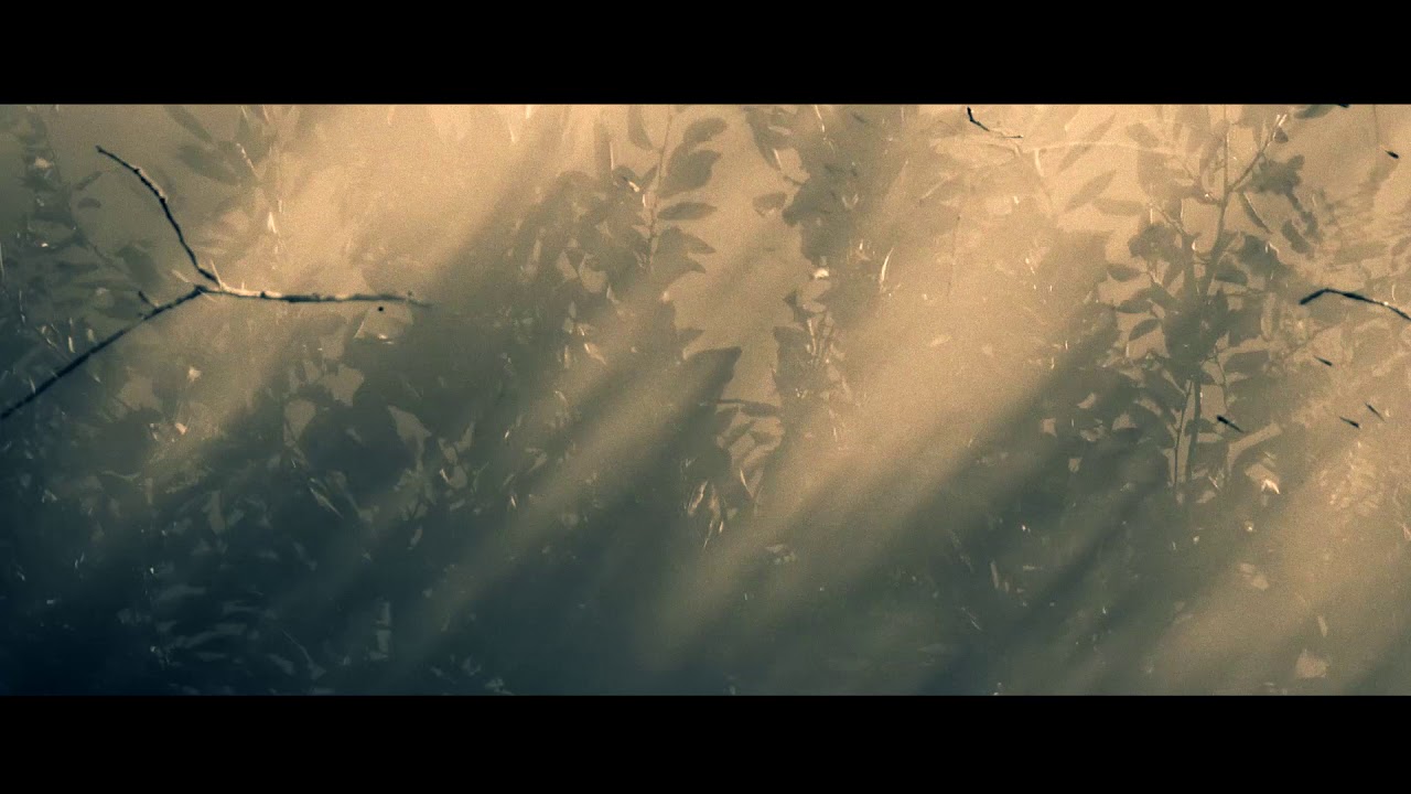 Guarda Ergosphere - Francesco Giannico su YouTube Guarda Ergosphere - Francesco Giannico su YouTube