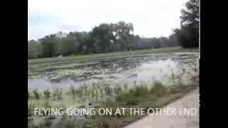 BUDER PARK AFTER HEAVY RAIN