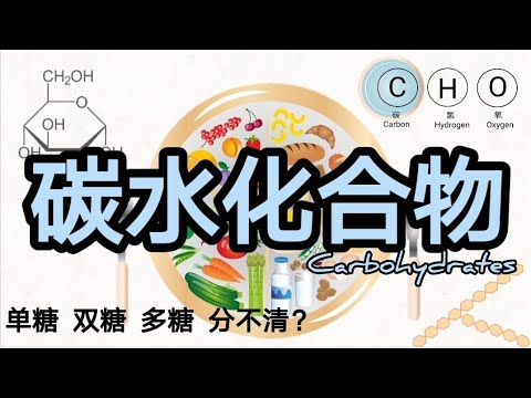 碳水化合物 Carbohydrates | 单糖、双糖、聚合糖/多糖是什么？本期主角：葡萄糖