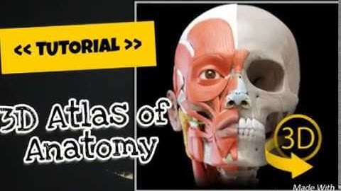 3D Atlas of Anatomy - Tutorial