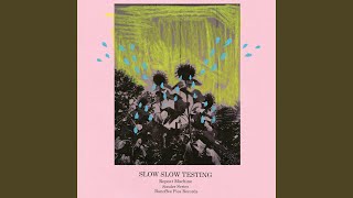 Dumb Fish - Slow Slow Testing