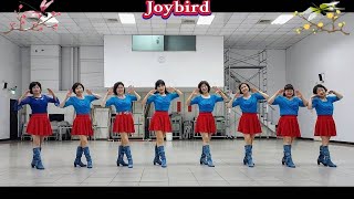 Download Lagu Joybird - Line Dance MP3