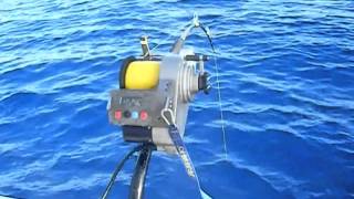Friday the 13th Daytime Swordfish