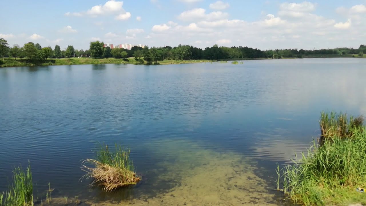 Zdjęcie 4: Z łowiska Hubertus II wyciągnięto topielca