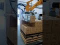 Custom Gripper Carton Palletizing | Efficient Robotic Palletizer in Action